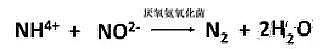 iɰVϏSҸVˮ̎İl(f)չvʷ