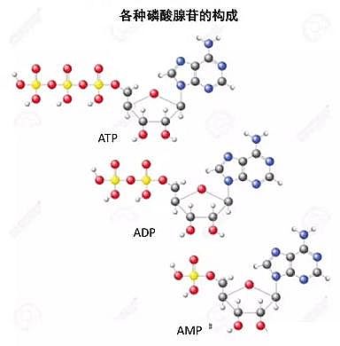 Чwׄa(chn)SˮСr(sh)