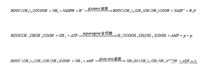 ЧxӽQ֬Sȫ|A2/OؼMBRBBRˇxԔ(x)!