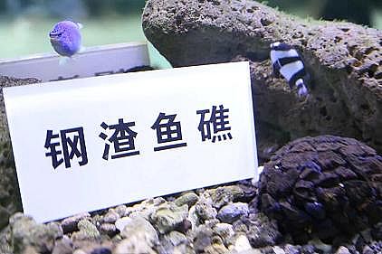 5AӺYSҡ(hu)FSUˮŷţB(yng)~
