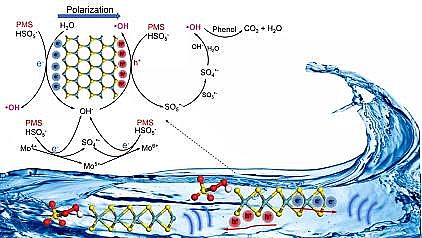 Ʒ13XӺYa(chn)SҏV|I(y)W(xu)Environ. Sci. Nano: MoS2{׻늻^һ}M(jn)ˮЙC(j)Ⱦｵ