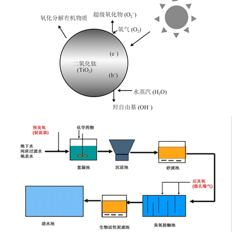 (yu)|(zh)Xa(chn)SʲôǏUˮŷ?