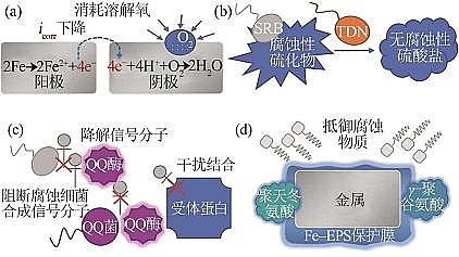 2022蹸ѭhsˮ΢{ˮ|CоMչ
